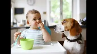Dogs may be able to tell you’re pregnant before you can.😍