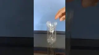 Best home made fly trap:Get rid of flies.Diy flytrap:Easy fly trap
