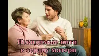 Рассказ из книги Ольги Ярош 