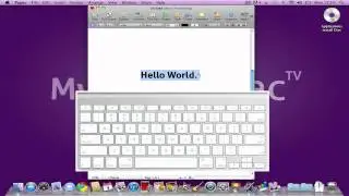 Copy & Paste Shortcuts