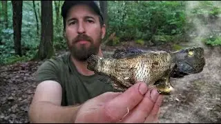 Surviving the Night Lost in the Woods with No Food or Water - Stormy Weather and Minimal Gear