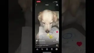Le mele 🍎 fanno davvero bene?