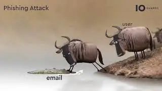 PISHING ATTACK 🤣