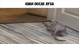 Коротко о Лиге Легенд