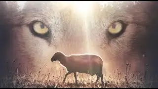 Beware of WOLVES in SHEEP CLOTHING 10.30.24