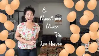 El Mundo de los Huevos | Happy Huevo Express🥚🥚