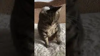 - щоб не сталось, завжди знайдеться людина, яка … « так і знала»