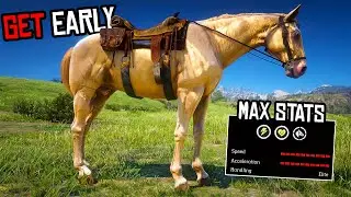5 Rarest & Special Horses As Arthur Early in Missions - RDR 2
