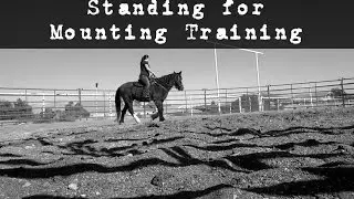 Standing for mounting training