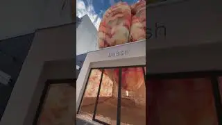 Motion design Shanef3d