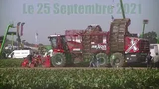 OUDENAARDE 2021