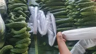 Deliver tayo today ng ampalaya...