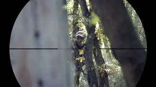 FAIRPLAY GONE - Sniper