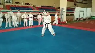 Кихон к экзамену,аге-уке гияку-цуки