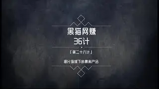 黑猫网赚36计第26计：细分领域的暴利赚钱项目