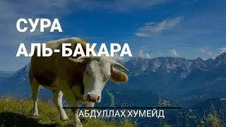 Сура 2 