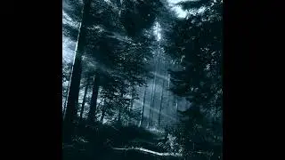 video Maloletka