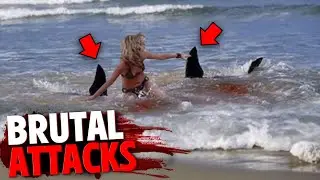 These 3 Oceanic Whitetip Sharks DEVOURED Swimmers at Beach!