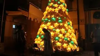 Dominican School Manila | Christmas Tree Lighting S.Y 2019-2020