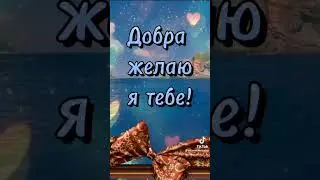 любимый сынок