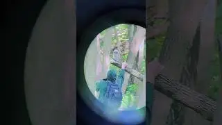 Какой-то мужик крадёт сову из леса! СКРЫТАЯ СЪЕМКА.