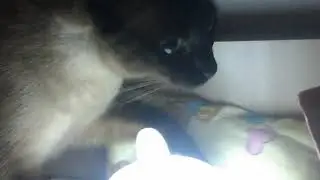 Молоко 2