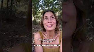 Chiudi sta finestra sacra che tira vento