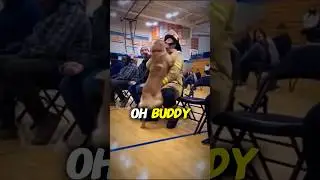 These Dogs Choose Their Hero