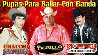 Beto Quintanilla-El Tigrillo Palma-Chalino Sanchez||Puros Corridos Mix 2023-Puros Corridos Chingones