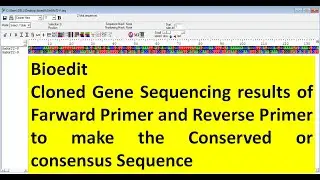 #Bioedit