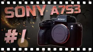 Камера мечты SONY A7S3. я её купил!
