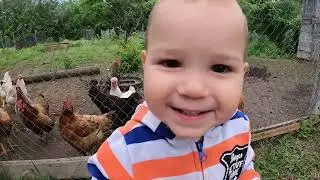 Наша жизнь в деревне. Установили электро пастуха для наших нетелей.Бизнес в деревне.
