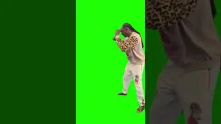 Snoop Dogg Boxing (Green Screen Memes) 🟢