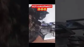 КОТ ШАШЛЫКОТ 