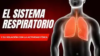 🏋️🫁SISTEMA RESPIRATORIO en EDUCACIÓN FÍSICA [OPTIFUTURA]
