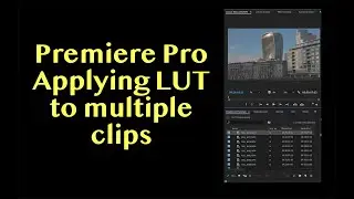 How to Apply LUT to Multiple Clips in Premiere Pro