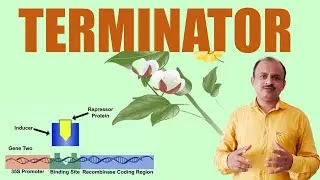 Terminator