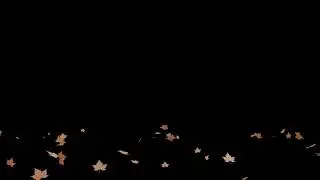 Falling Leaves green screen Leaf Particle Effect Green Screen Leaf Fall