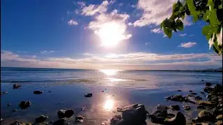 Along the tropical coast with relax music