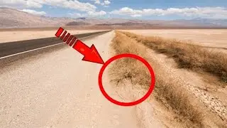 Seeing THIS on the side of the road, a man slams on the brakes, it saved his life!