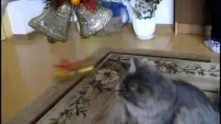 Джингл бэлл