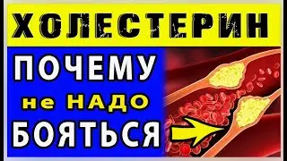 Какая РОЛЬ  ХОЛЕСТЕРИНА в нашем организме?
