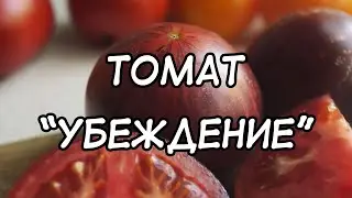 Tomato Persuasion. Another taste masterpiece from Brad Gates!