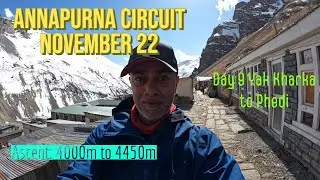Annapurna Circuit Trek - Day 9 Yak Kharka to Phedi 01st Nov 22