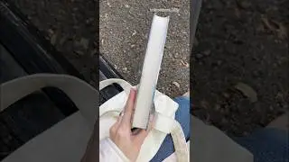впечатления Тайна мертвого ректора 