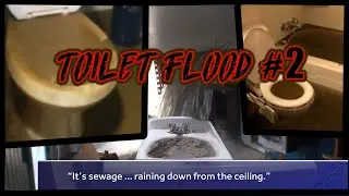TOILET FLOOD COMPILATION #2 - BROWN WATER