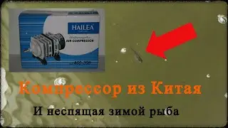 Аэрация пруда китайским компрессором зимой 2020 года/ не спит рыба зимой.