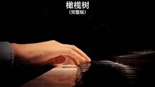 《橄榄树》钢琴曲 | Piano Cover 助眠纯音乐钢琴独奏 absolute music solo