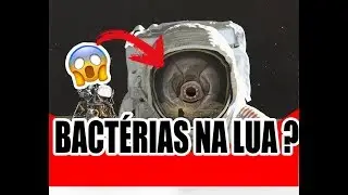 TARDÍGRADOS VIVOS NA LUA
