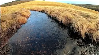ABANDONED Scottish 1700's History - Lost in WILD Highlands